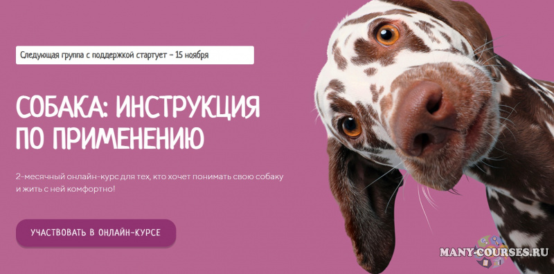 kinologschool / Антонина Зимарева - Собака: инструкция по применению