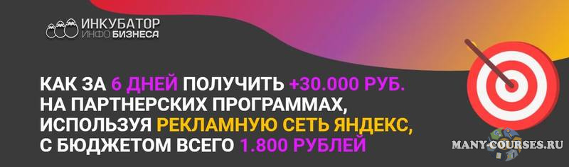 Анатолий Тендетников - Курс РСЯ-Партнер