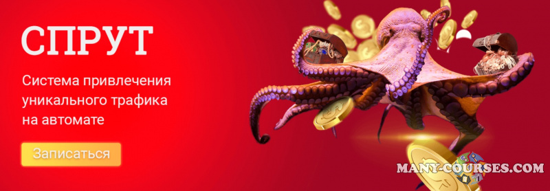 NZTcoder/Mr-grey -СПРУТ: Автоматическая Система привлечения Уникального Трафика