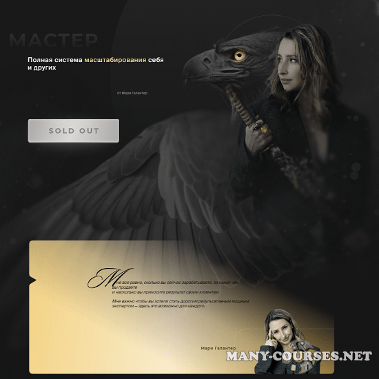 Мари Галантер - Мастер. Полная система масштабирования себя и других. Тариф Премиум