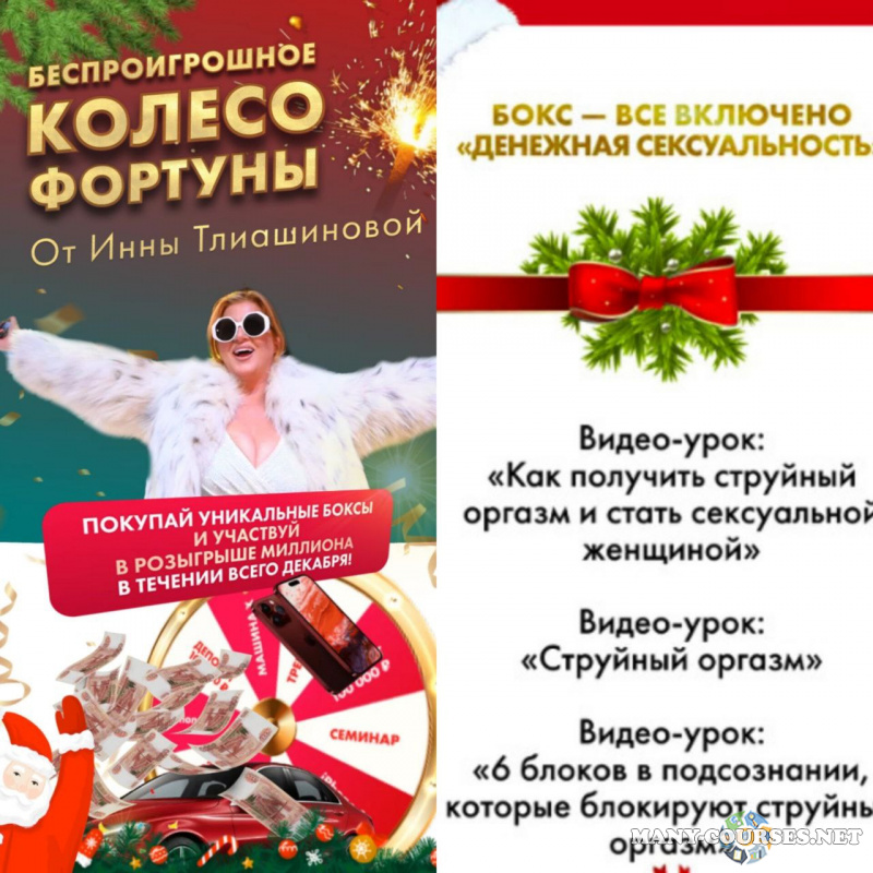 Инна Тлиашинова - Денежная сексуальность. Новогодний Бокс – Все Включено