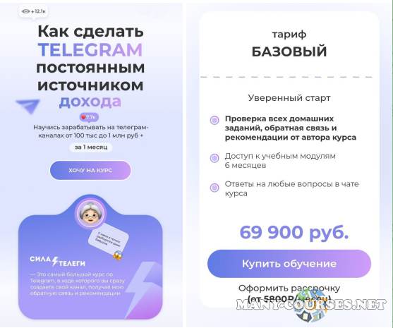 Анна Шамардина - Сила телеги Как сделать Телеграм постоянным источником дохода. Тариф Базовый (2024)