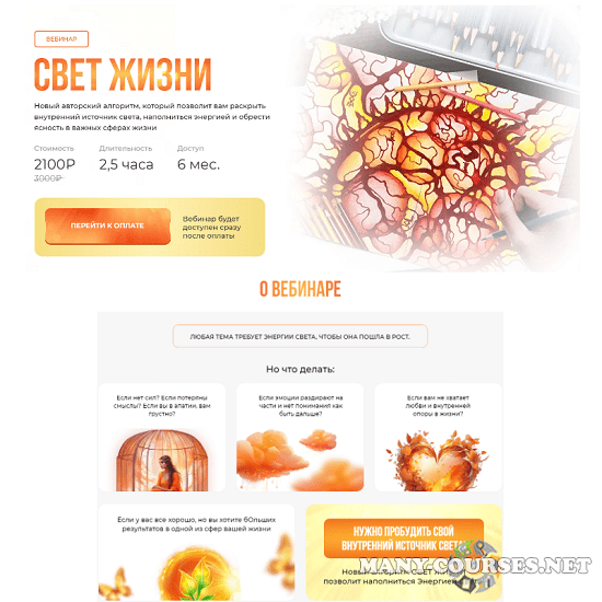 Оксана Авдеева / Школа нейрографики - Вебинар “Свет жизни” (2024)