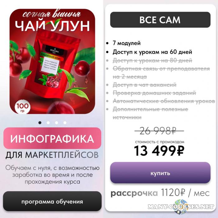 InfoGraphicsSchool - Инфографика для маркетплейсов. Все сам (2025)