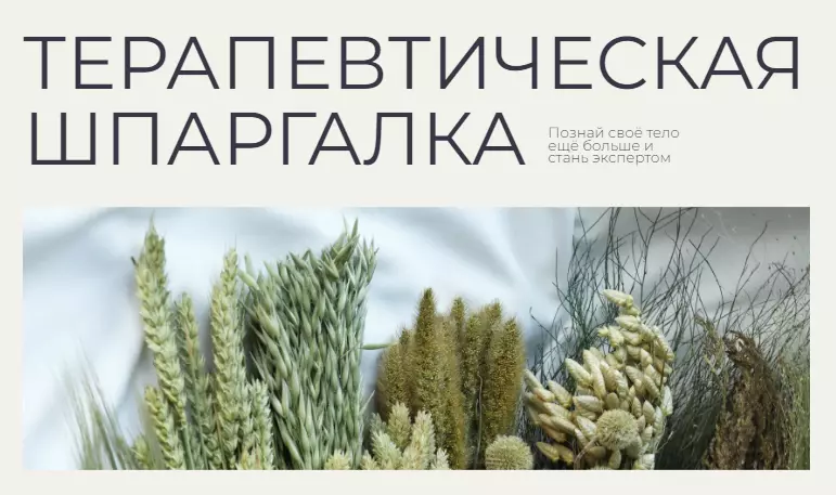 Гаяне Тандилян - Терапевтическая шпаргалка