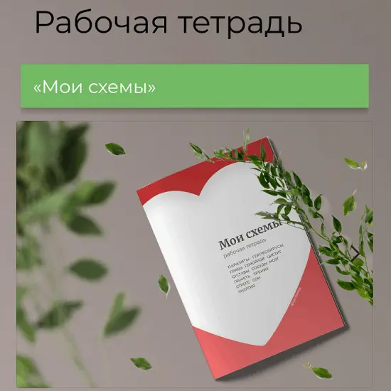 Виктория Орлинская - Рабочая тетрадь. Мои схемы