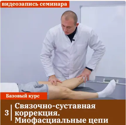 Антон Циванюк - Связочно-суставная коррекция. Миофасциальные цепи