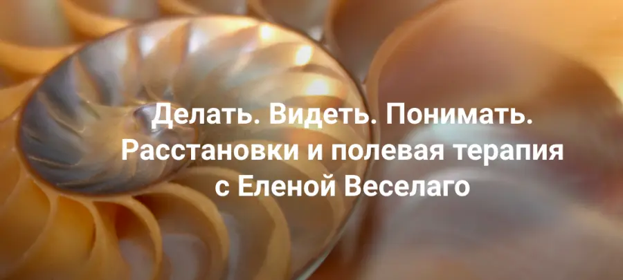 Институт Открытого поля / Елена Веселаго - Делать. Видеть. Понимать. Расстановки и полевая терапия. Только теория