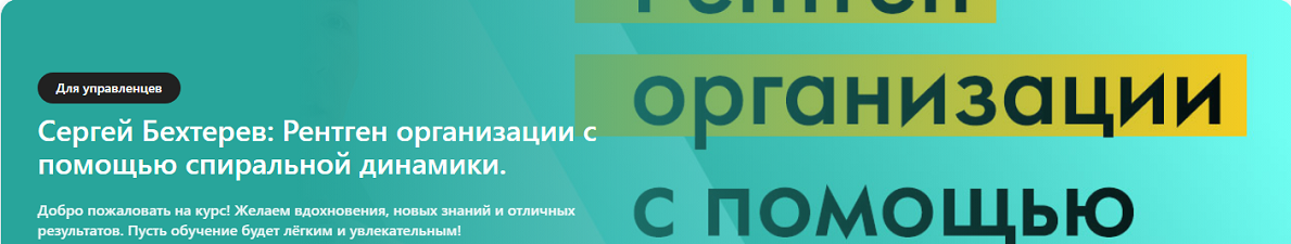 Сергей Бехтерев - Рентген организации с помощью спиральной динамики