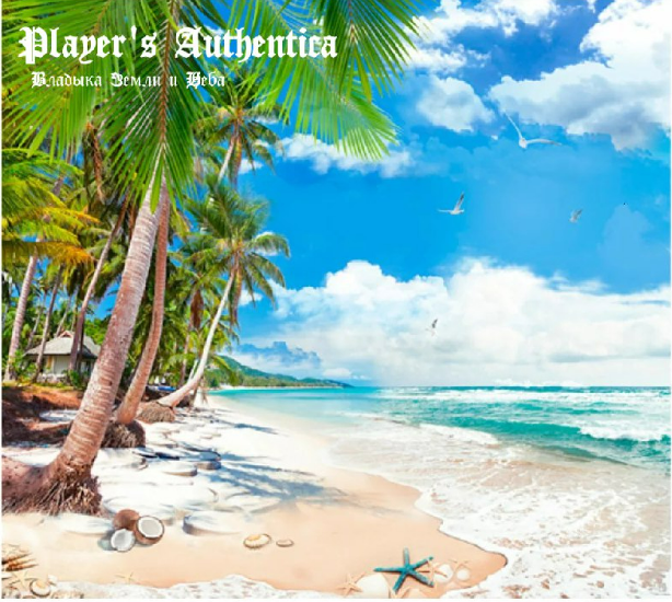 Константин Соломатин - Player's authentica