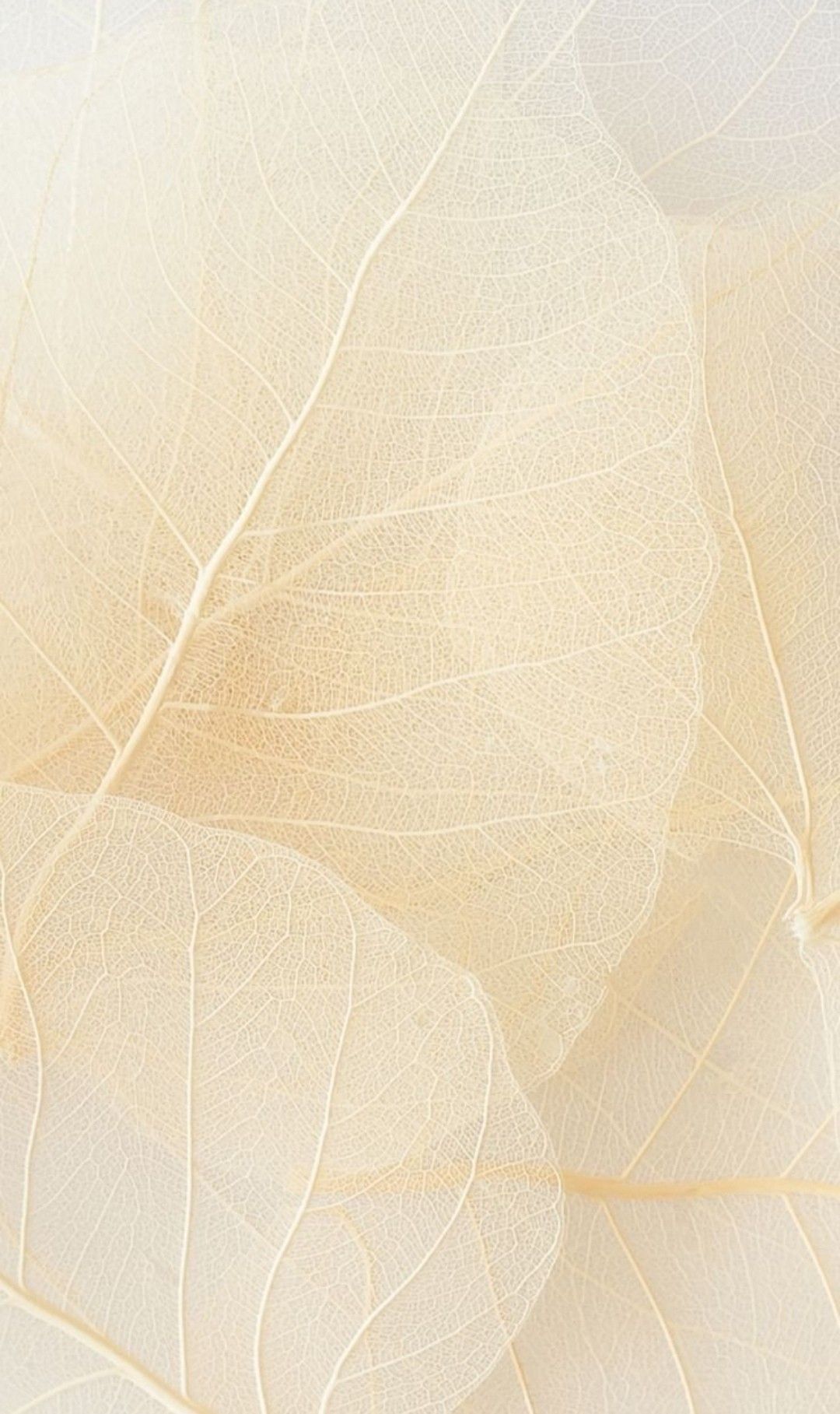 Анастасия Морозова - Гармоничный выход из застревания во внутреннюю свободу. Тариф 1 ступень + 2 ступень