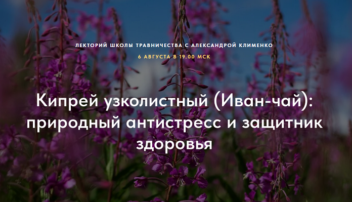 Александра Клименко - Кипрей узколистный (Иван-чай) : природный антистресс и защитник здоровья