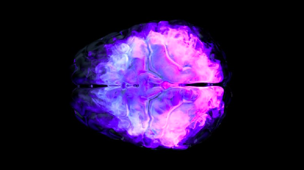 Дмитрий Исаев - Фабула Мозг. ZTN