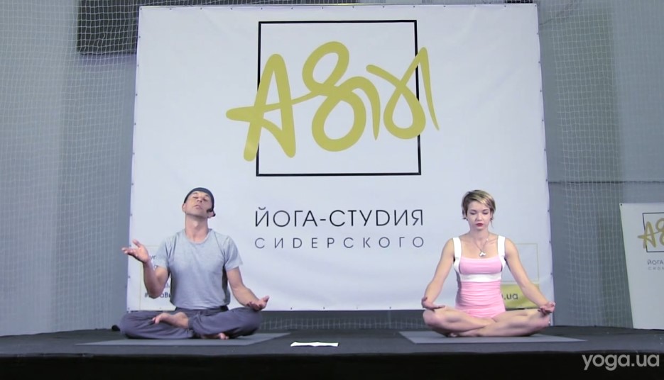 Андрей Сидерский, Елена Сидерская - Йога асана экспресс, 2015