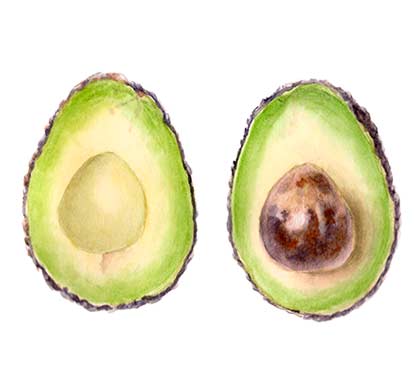 Pale’tt / Светлана Чернышева - Ботаническая живопись. Продвинутый уровень. Фрукты. Тариф Курс для самостоятельного обучения