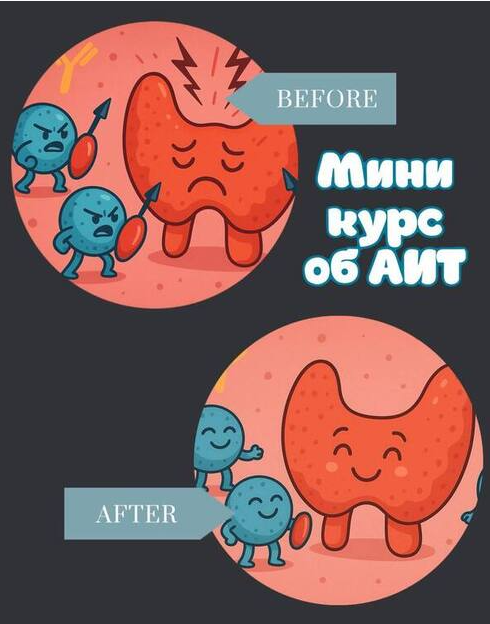 endo_doc_ / Лариса Чумак - Мини курс по АИ