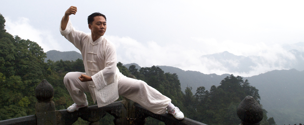 Wanglinschool / Мастер Ван Лин - Школа Цигун и Тайцзи. Комплект материалов