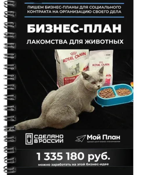 Мой План / Владислав Марясов - Бизнес-план для соцконтракта. Изготовление лакомств для животных