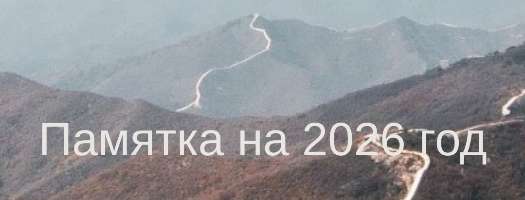 Юлия Бальсина - Памятка на 2026 год
