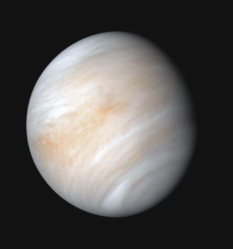 Александр Драгнев - Фабула «Венера»