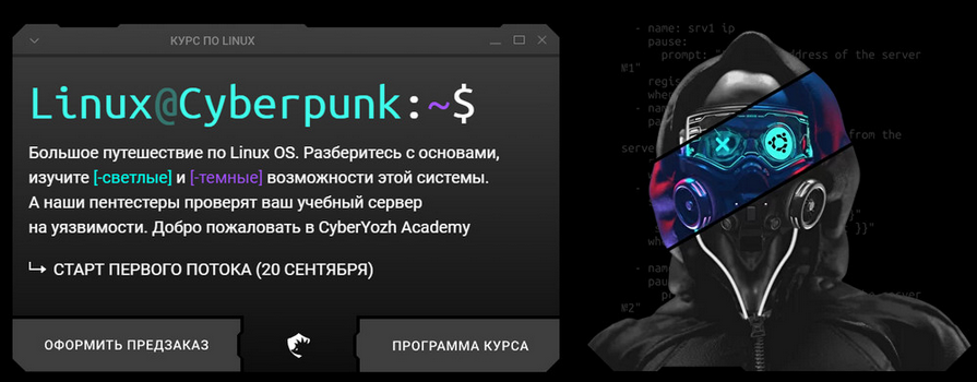 CyberYozh / Евгений Ивченков, Алексей Гришин - Linux Cyberpunk. Тариф Black