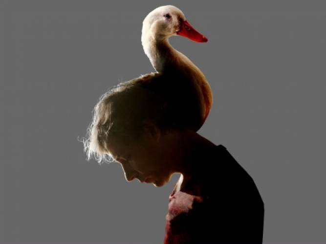 Евгения Гайдученко, Мария Кутузов / EduNote - Как обмануть смерть: пошаговая инструкция