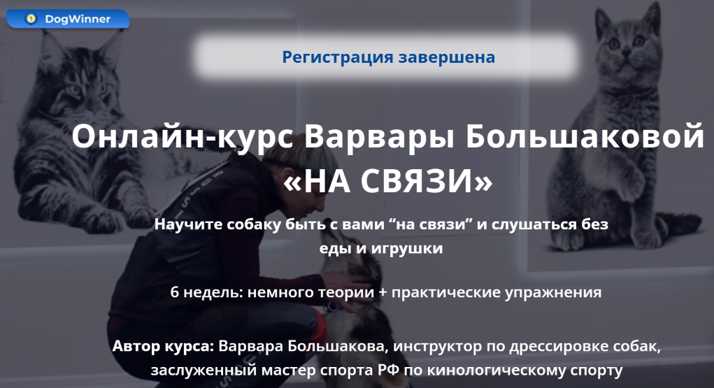 Варвара Большакова / DogWinner - На связи