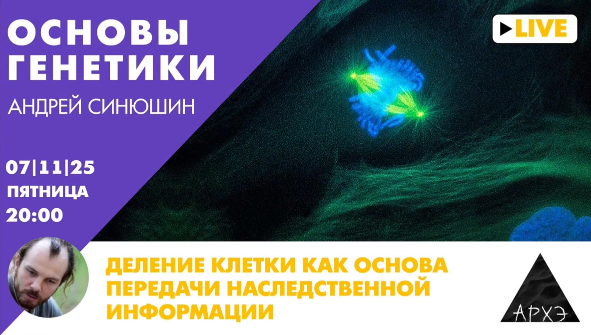 Архэ - Андрей Синюшин ― Деление клетки как основа передачи наследственной информации