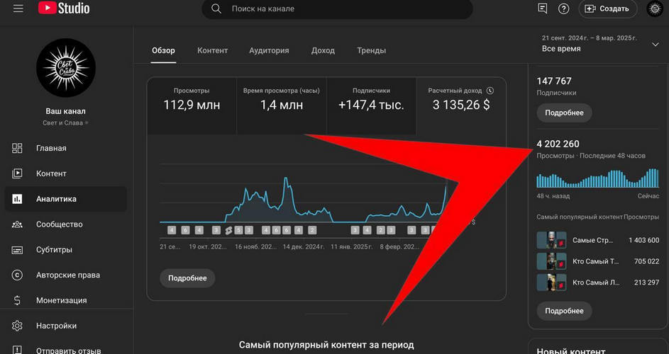 Владимир Степанец - Обучение по видео шортс и нейронкам