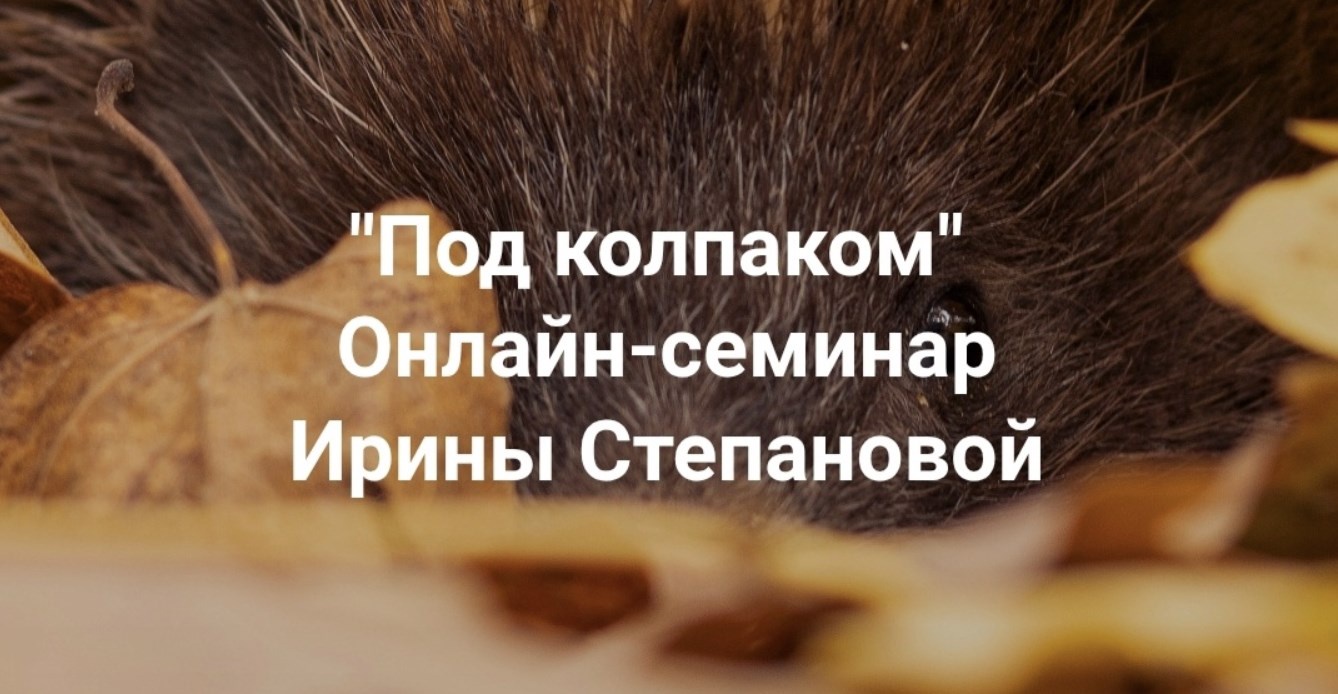 Институт Открытого поля / Ирина Степанова - Под колпаком. Травма невидимости. Меня не замечают. Не получается составить отношения