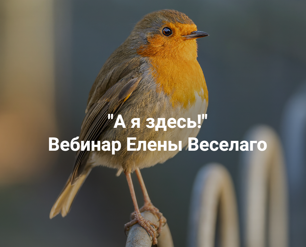 Институт Открытого поля / Елена Веселаго - А я здесь!