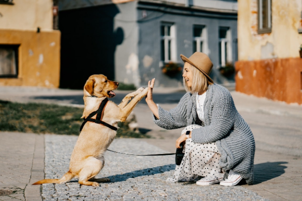 anfi - Наталья Спиридонова ― Дрессировка с любовью