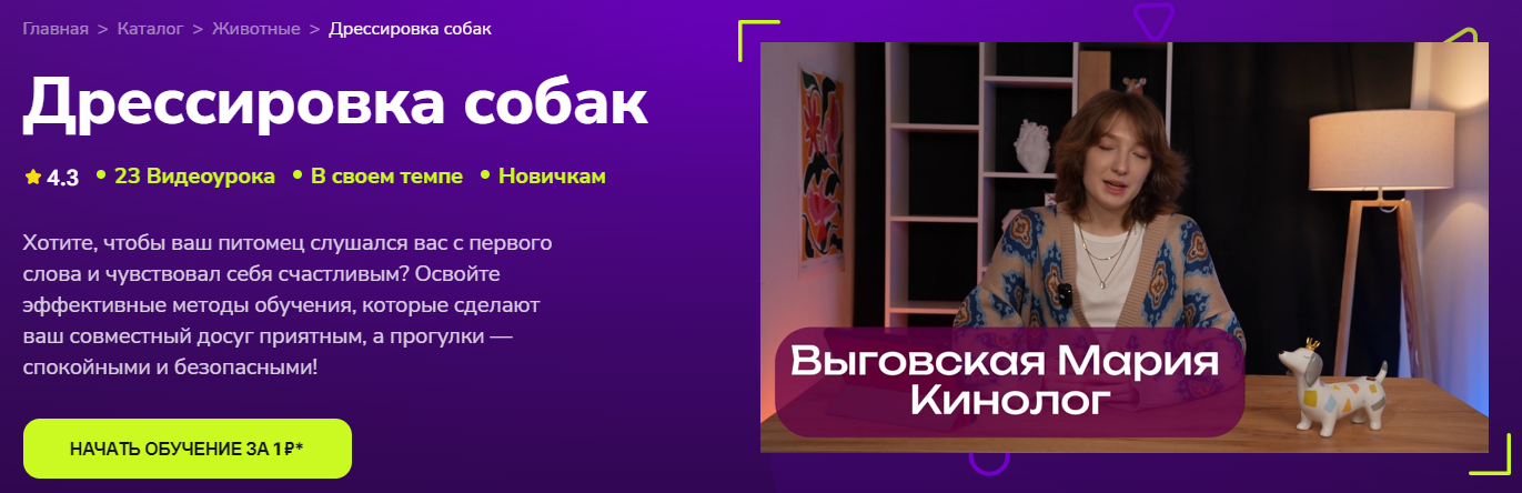 TutorPlace - Мария Выговская ― Дрессировка собак