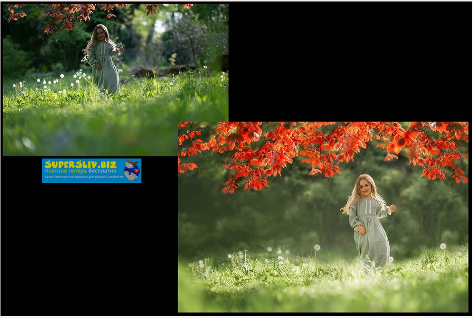 Наталья Рапопорт - Красивый зеленый и стоп рефлексам