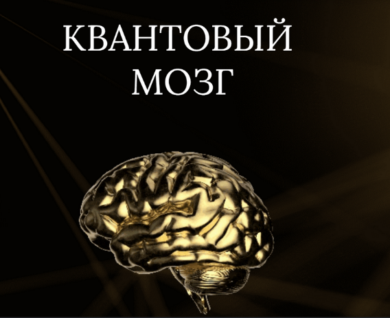 Анна Камаллая Хефорс - Квантовый мозг