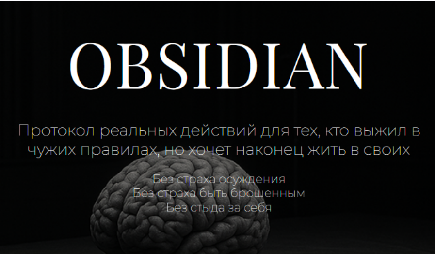 Екатерина Семешина - Obsidian. Протокол реальных действий