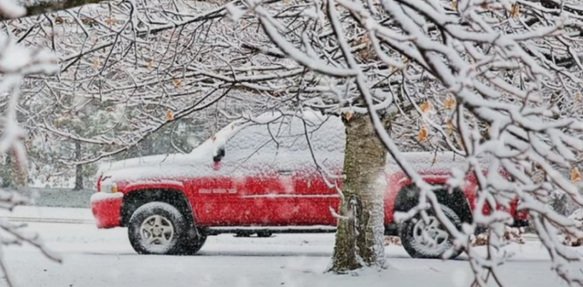 annrulit.online - Перезимуем вместе