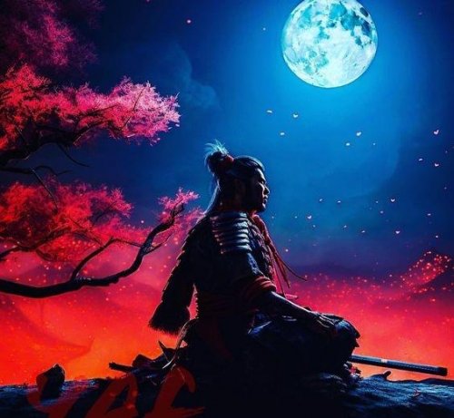 Степан Юсин - Клуб Самурай (Декабрь 2025)