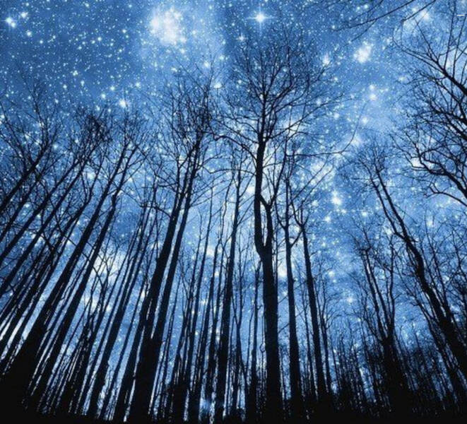 Астрология налегке (Октябрь / Анна Староминская, Константин Дараган - Ноябрь 2025)