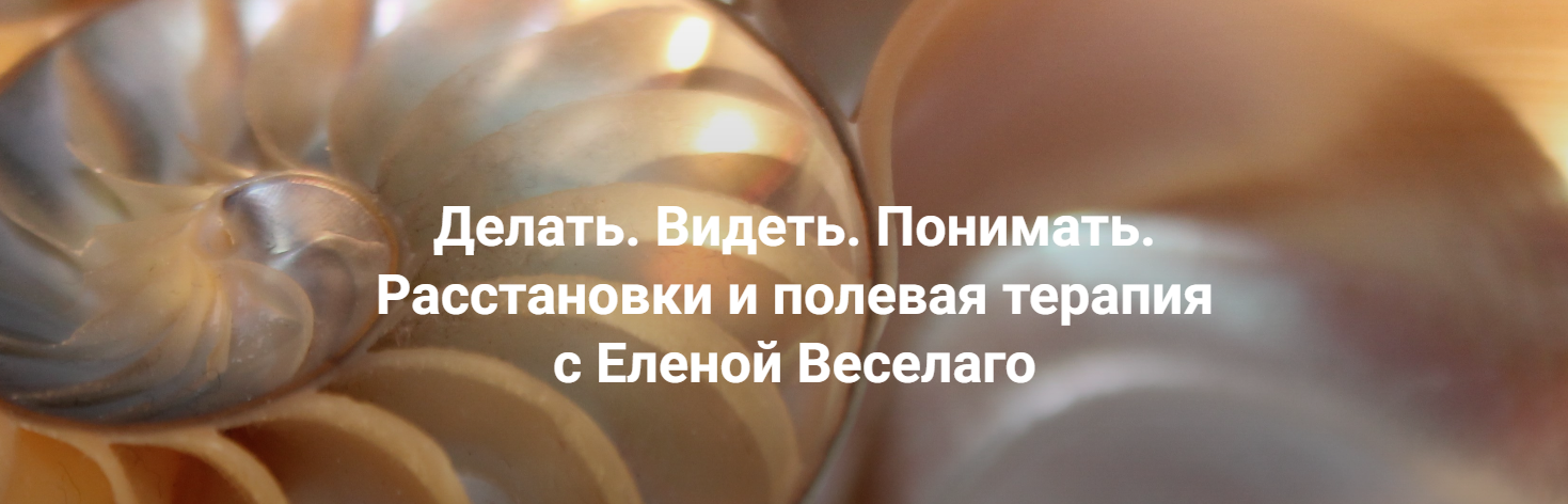 Институт Открытого поля - Елена Веселаго → Делать. Видеть. Понимать. Расстановки и полевая терапия