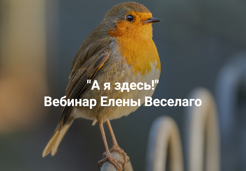 Институт Открытого поля - Елена Веселаго → А я здесь! Вебинар о причинах "невозможности жить"