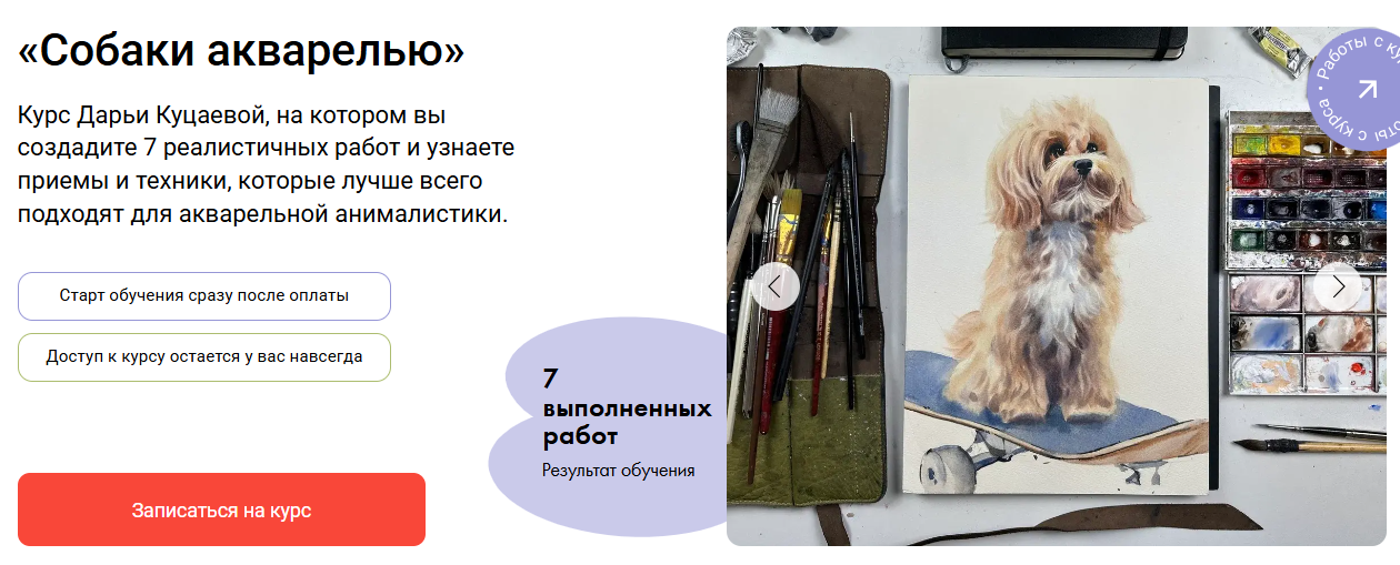 Художник онлайн - Дарья Куцаева → Собаки акварелью