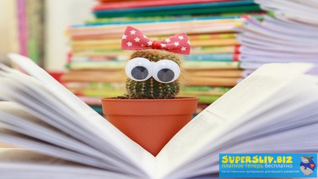 Pavel Shevchenko / Udemy - Английский с 0-ля до профессионала. Звуки. Фонетика