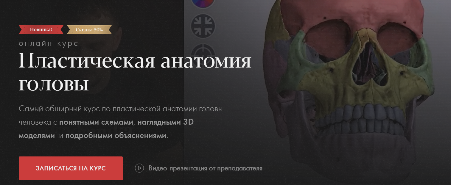 Академика - Денис Чернов → Пластическая анатомия головы