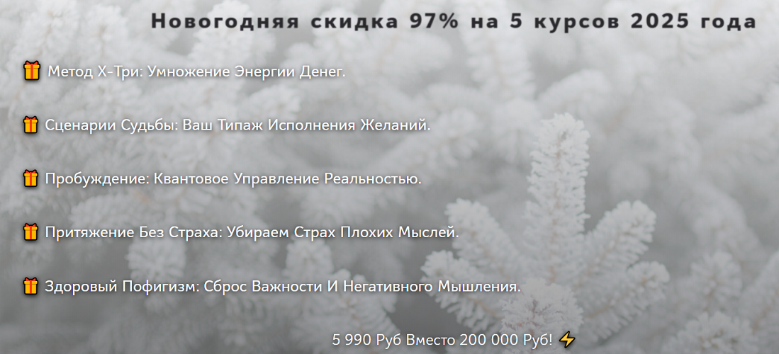 Нико Бауман - Новогодняя скидка 97% на 5 курсов 2025 года