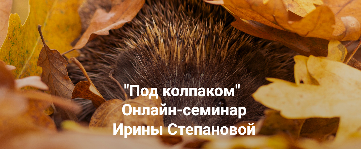 Ирина Степанова - Под колпаком. Травма невидимости. Меня не замечают. Не получается составить отноше