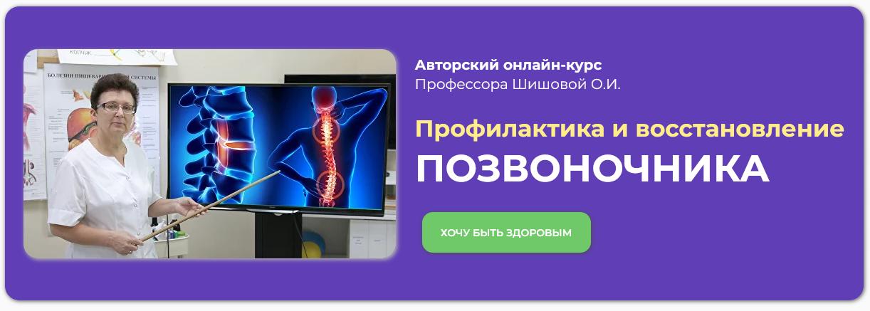 Ольга Шишова - Профилактика и восстановление позвоночника