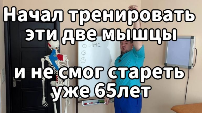 Антон Алексеев - Как научиться управлять своим телом