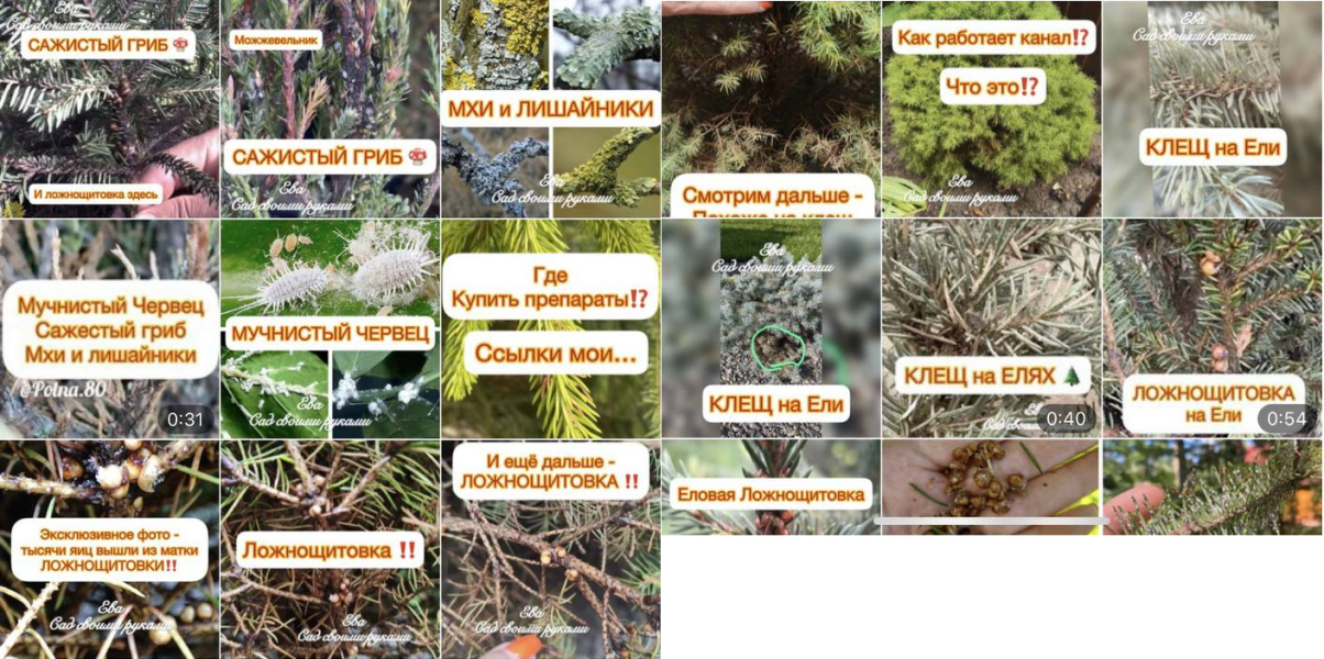 Ева. Сад своими руками - Болезни и вредители