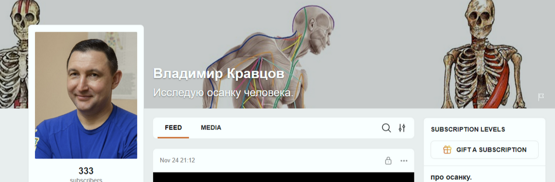 Владимир Кравцов - Видеокурс по исправлению осанки Поиск Первопричин + новые ролики с boosty